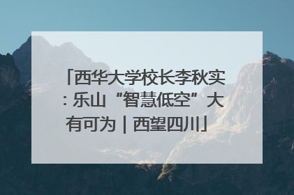 西华大学校长李秋实：乐山“智慧低空”大有可为｜西望四川