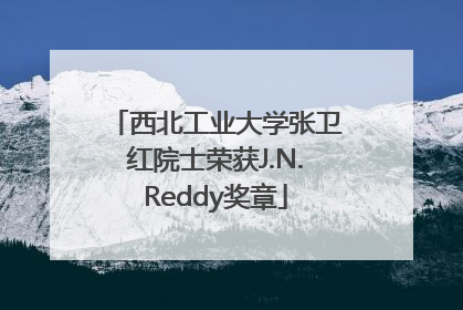 西北工业大学张卫红院士荣获J.N.Reddy奖章