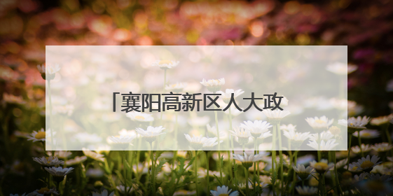襄阳高新区人大政协办开展魏庄小学“六一”慰问活动