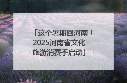 这个暑期回河南！2025河南省文化旅游消费季启动