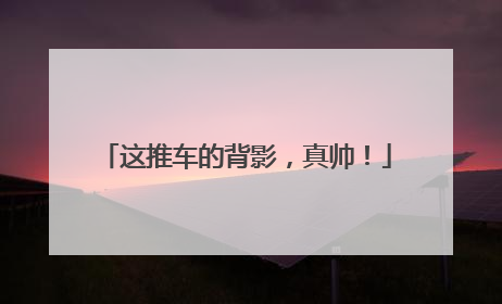 这推车的背影，真帅！