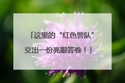 这里的“红色警队”交出一份亮眼答卷！