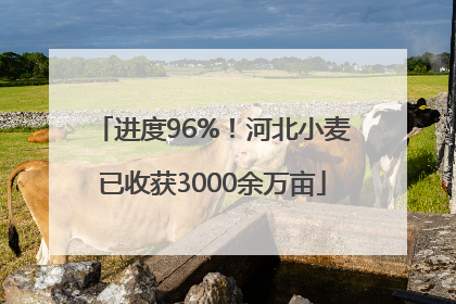 进度96%！河北小麦已收获3000余万亩