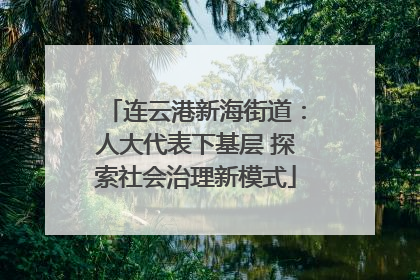 连云港新海街道：人大代表下基层 探索社会治理新模式