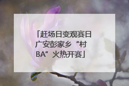 赶场日变观赛日 广安彭家乡“村BA”火热开赛