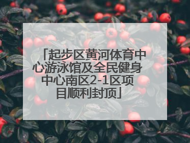 起步区黄河体育中心游泳馆及全民健身中心南区2-1区项目顺利封顶