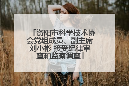 资阳市科学技术协会党组成员、副主席刘小彬 接受纪律审查和监察调查