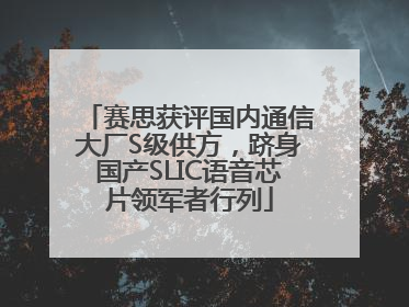 赛思获评国内通信大厂S级供方，跻身国产SLIC语音芯片领军者行列