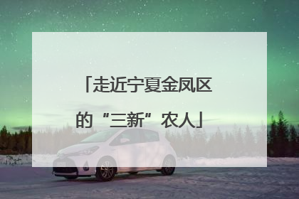 走近宁夏金凤区的“三新”农人