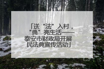 送“法”入村，“典”亮生活——泰安市财政局开展民法典宣传活动