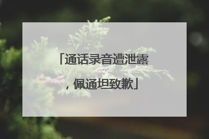 通话录音遭泄露，佩通坦致歉