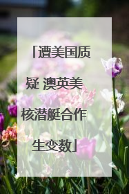遭美国质疑 澳英美核潜艇合作生变数
