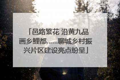 邑路繁花 沿黄九品 画乡鲤都……聊城乡村振兴片区建设亮点纷呈