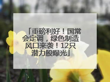 重磅利好！国常会定调，绿色制造风口来袭！12只潜力股曝光