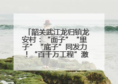 韶关武江龙归镇龙安村：“面子”“里子”“底子”同发力！“百千万工程”激活乡村新动能