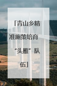 青山乡精准施策培育“头雁”队伍