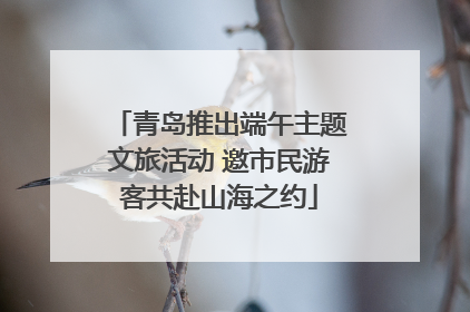 青岛推出端午主题文旅活动 邀市民游客共赴山海之约