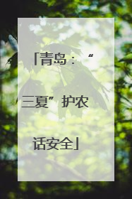 青岛：“三夏”护农话安全