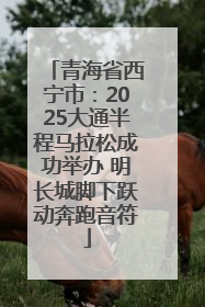 青海省西宁市：2025大通半程马拉松成功举办 明长城脚下跃动奔跑音符