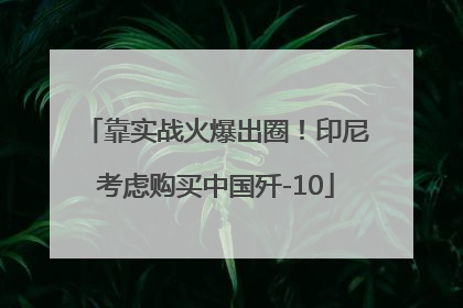 靠实战火爆出圈！印尼考虑购买中国歼-10