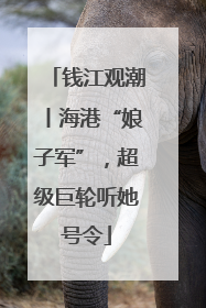 钱江观潮丨海港“娘子军”，超级巨轮听她号令