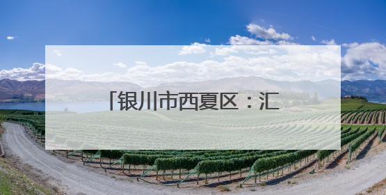 银川市西夏区：汇聚社会力量 “艺”心守护出彩人生