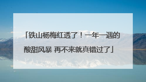 铁山杨梅红透了！一年一遇的酸甜风暴 再不来就真错过了