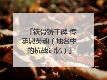 铁骨铸丰碑 传承慰英魂（地名中的抗战记忆）