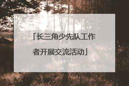 长三角少先队工作者开展交流活动