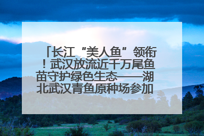 长江“美人鱼”领衔！武汉放流近千万尾鱼苗守护绿色生态——湖北武汉青鱼原种场参加2025年“全国放鱼日”增殖放流活动