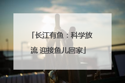 长江有鱼：科学放流 迎接鱼儿回家