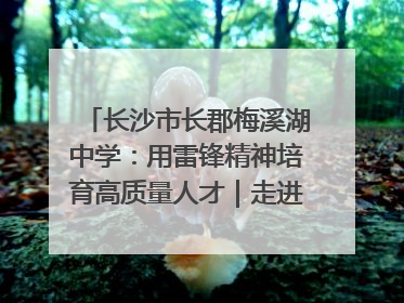 长沙市长郡梅溪湖中学：用雷锋精神培育高质量人才｜走进新时代“雷锋传人 长沙榜样”