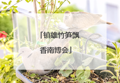 镇雄竹笋飘香南博会