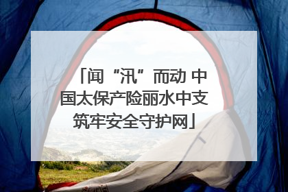 闻“汛”而动 中国太保产险丽水中支筑牢安全守护网