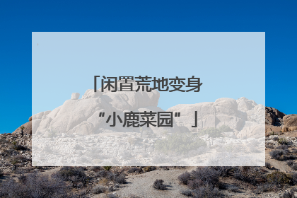 闲置荒地变身“小鹿菜园”