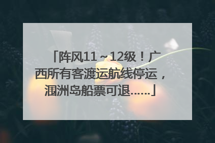 阵风11～12级！广西所有客渡运航线停运，涠洲岛船票可退……