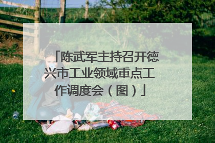 陈武军主持召开德兴市工业领域重点工作调度会（图）