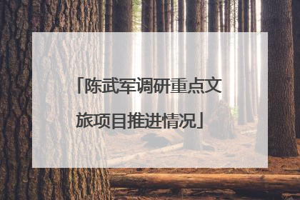 陈武军调研重点文旅项目推进情况