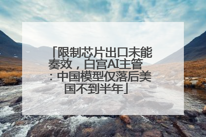 限制芯片出口未能奏效，白宫AI主管：中国模型仅落后美国不到半年