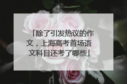 除了引发热议的作文，上海高考首场语文科目还考了哪些