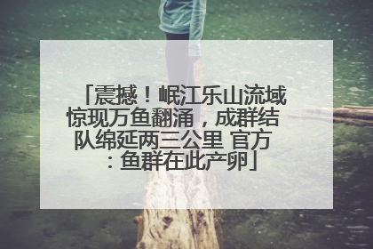 震撼！岷江乐山流域惊现万鱼翻涌，成群结队绵延两三公里 官方：鱼群在此产卵