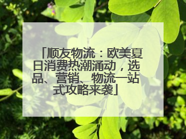 顺友物流：欧美夏日消费热潮涌动，选品、营销、物流一站式攻略来袭