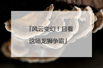 风云变幻！且看这场龙狮争霸