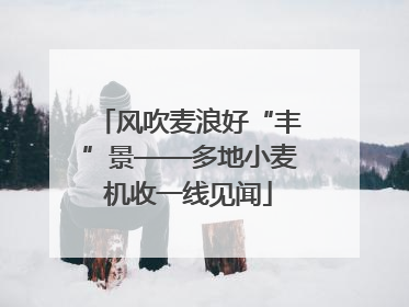 风吹麦浪好“丰”景——多地小麦机收一线见闻