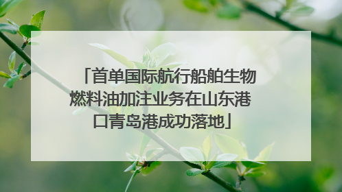 首单国际航行船舶生物燃料油加注业务在山东港口青岛港成功落地