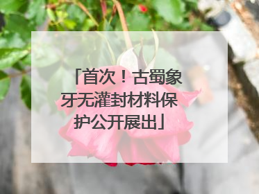 首次！古蜀象牙无灌封材料保护公开展出