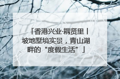 香港兴业·耦贤里丨坡地墅境实景，青山湖畔的“度假生活”