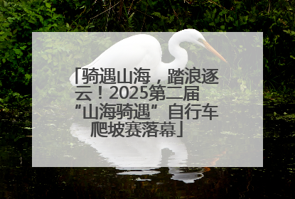 骑遇山海，踏浪逐云！2025第二届“山海骑遇”自行车爬坡赛落幕
