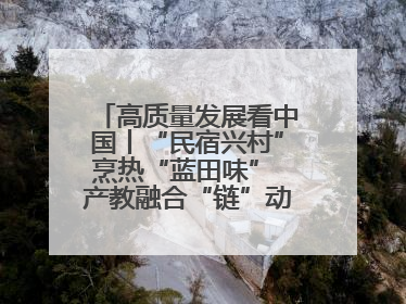高质量发展看中国丨“民宿兴村”烹热“蓝田味” 产教融合“链”动发展新引擎