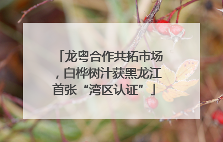 龙粤合作共拓市场，白桦树汁获黑龙江首张“湾区认证”